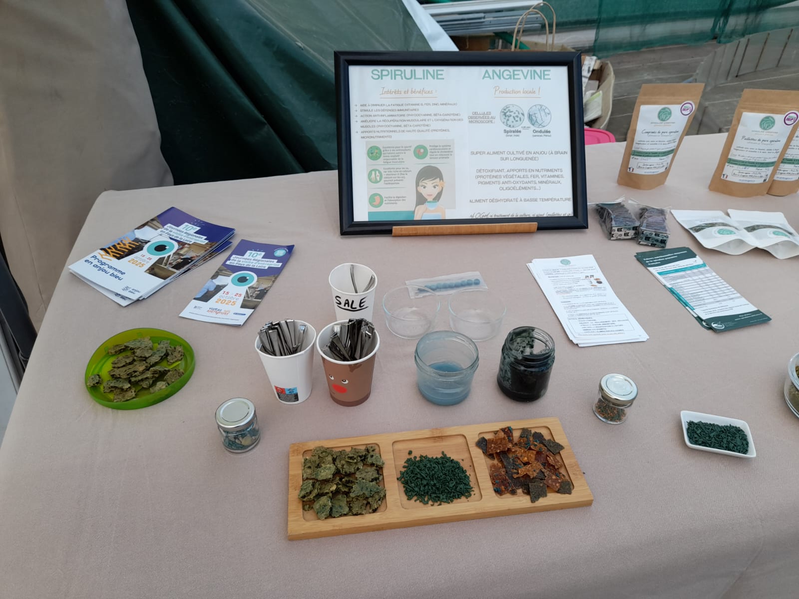 À la découverte de la Spiruline angevine — photo 2