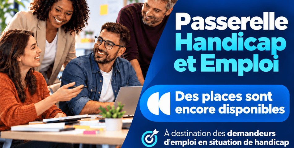 image passerelle handicap et emploi