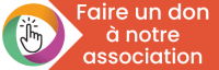 bouton de don hello asso